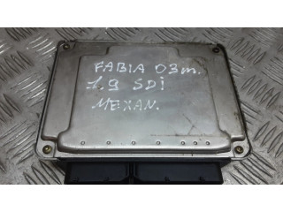 Блок управления двигателя 0281010107, 038906012AN   Skoda Fabia Mk1 (6Y)