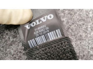 Задний ремень безопасности