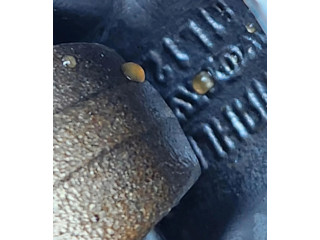  Поршень с шатуном  31303100  Volvo V60  