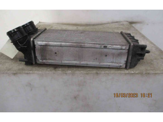 Интеркулер 384N9, 22300619 Citroen DS4