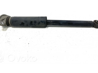 Задний aмортизатор      