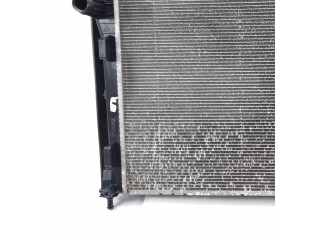 Čerpadlo oleje 899260600, 899260600 Lancia Ypsilon