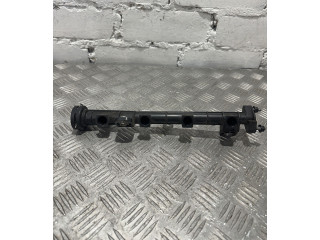 Топливная рампа 3534002100 Hyundai i20 (PB PBT) 1.3