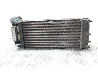 Интеркулер Peugeot Partner