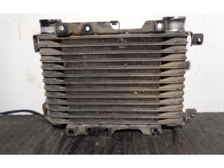 Интеркулер MD139359, 1271000290 Mitsubishi Pajero