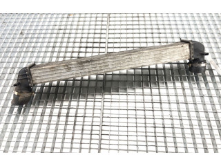 Интеркулер Y3427002 Skoda Rapid (NH)