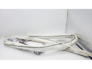 Надувная подушка для крыши