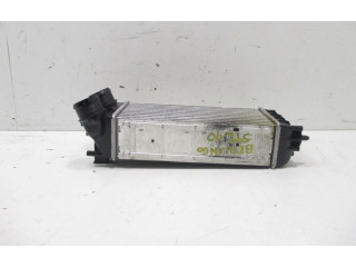 Vstřikovací lišta 818226 Citroen Berlingo