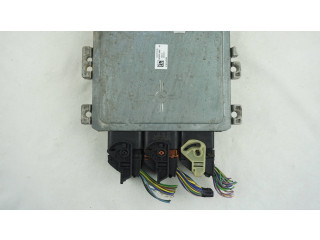 Блок управления двигателем Блок управления DV6112A650CHC, A2C95971902   Ford Transit -  Tourneo Connect