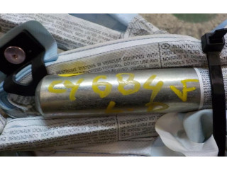 Подушка безопасности двери 3C0880742E, 3C0880742B Volkswagen Passat Alltrack