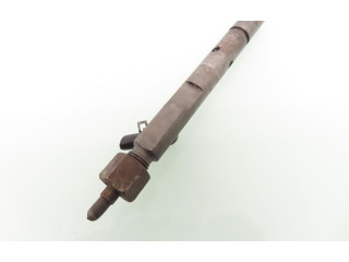 Vstřikovač 0432193655, 0432193655 KIA Carnival J3