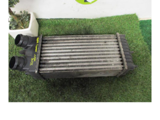 Интеркулер 00000384G5, 00000384G5 Citroen Xsara Picasso