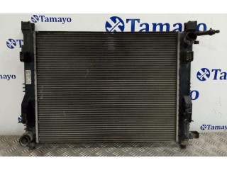 Вентилятор радиатора Dacia Sandero III