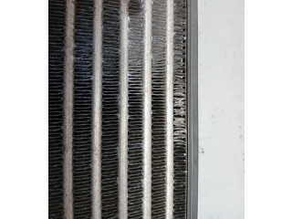 Интеркулер     Skoda Octavia Mk2 (1Z) 