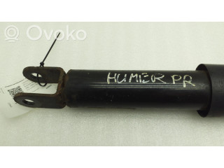 Передний амортизатор