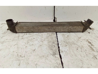 Интеркулер W0225002 Skoda Roomster (5J)