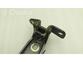 Задняя нижняя петля