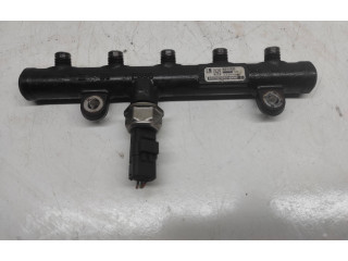 Топливная рампа 9681649580, 32272 Citroen C4 I Picasso