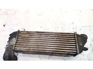 Интеркулер 1489396080 Citroen C8 2.0