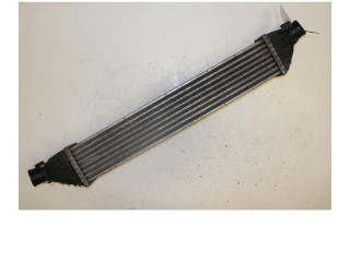 Интеркулер     Fiat Freemont 2.0