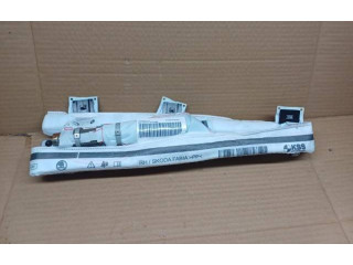 Боковая подушка безопасности 6V0880742E   Skoda Fabia Mk3 (NJ)