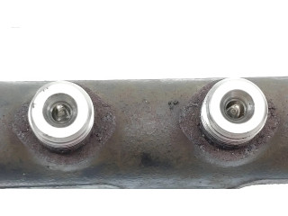 Vstřikovací lišta 9685297580, 9670076780 Citroen Berlingo pro naftový motor 1.6 9H06