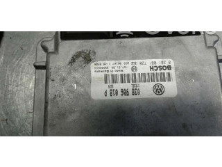 Řídící jednotka Volkswagen Passat Alltrack 1999