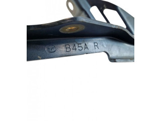 Комплект петлей багажника