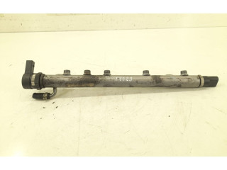 Топливная рампа 6400701295, 6400702095   Mercedes-Benz A W169   для двигателя OM 640.940