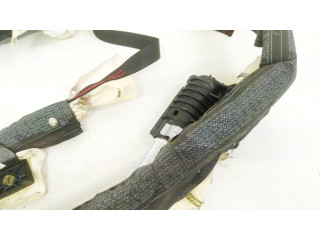 Боковая подушка безопасности 517017110, S053134872 Fiat Grande Punto