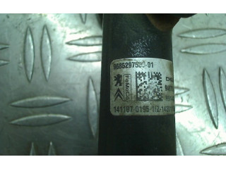 Топливная рампа 9685297580, 9685297580   Citroen C4 II Picasso   для двигателя DV6DTED/EU5(9HP)