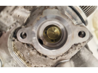 Комплект системы впрыска топлива 059130755BG, 03120813    Audi A6 S6 C7 4G  cla 