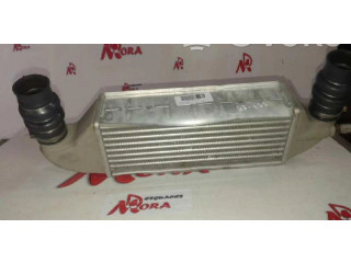 Интеркулер     Citroen Berlingo 