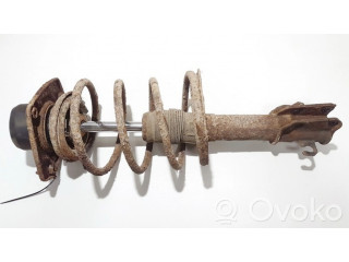 Передний амортизатор