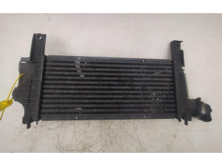 Интеркулер 14461EB360 Nissan Pathfinder R51