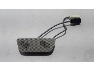 Громкоговоритель в панели