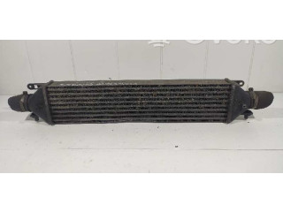 Интеркулер     Fiat Bravo 