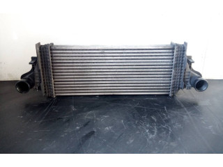 Интеркулер A2515000000004, P2-A11-6 Mercedes-Benz R W251