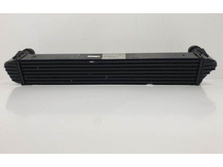 Интеркулер 25014780AA, AA1271004731 Jeep Cherokee