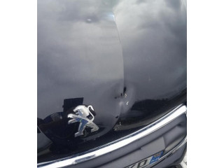 Радио/ проигрыватель CD/DVD / навигация    Peugeot 208    