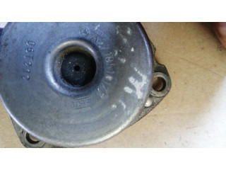 Варочный клапан Vanos