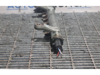 Топливная рампа 9654748880, 14291515 Mitsubishi Outlander для двигателя 4N14