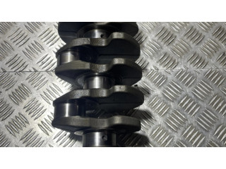 Kliková hřídel 038105189B Audi A3 S3 8P pro naftový motor 2.0