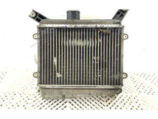 Vstřikovač Toyota RAV 4 (XA20)