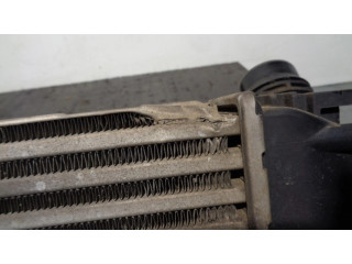 Интеркулер 8200880552B, M144144E Dacia Dokker 1.5