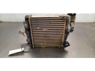Интеркулер P9675627980 Citroen Berlingo