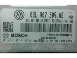 Řídící jednotka 0281017946 Volkswagen Tiguan 2013