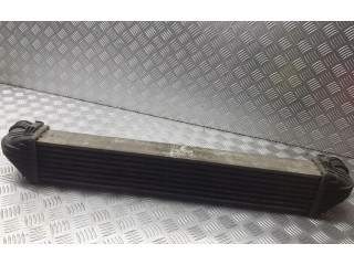 Интеркулер  A1695000000   Mercedes-Benz A W169 