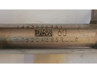 Vstřikovací lišta 175204385, 175204385R Dacia Dokker