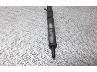 Форсунка     Renault Clio II  - 